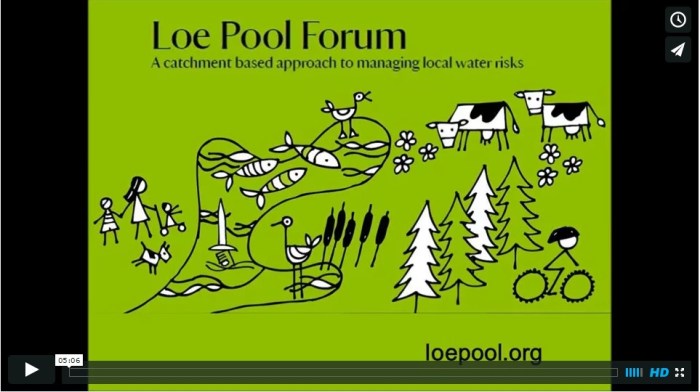 reintroduction of strapwort vimeo screen shot