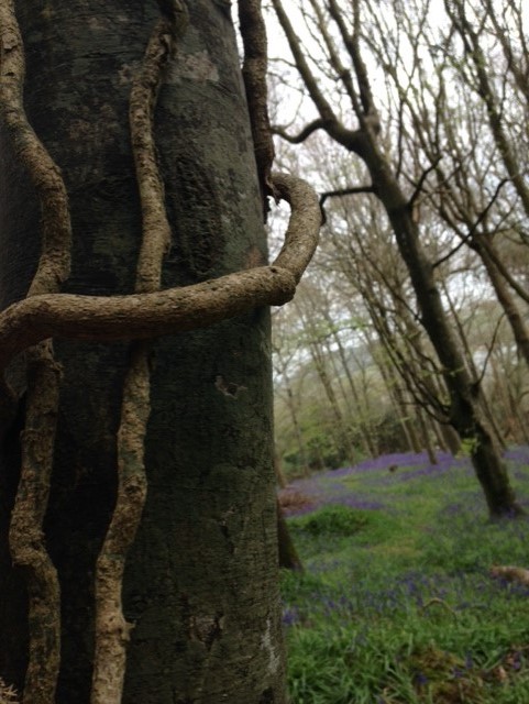 2nd. lucyw743@gmail.com