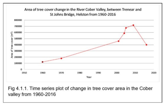 tree change