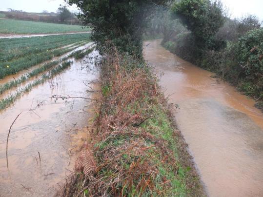 Field Run-off Enters Roads &amp; Streams - 2017 (4)